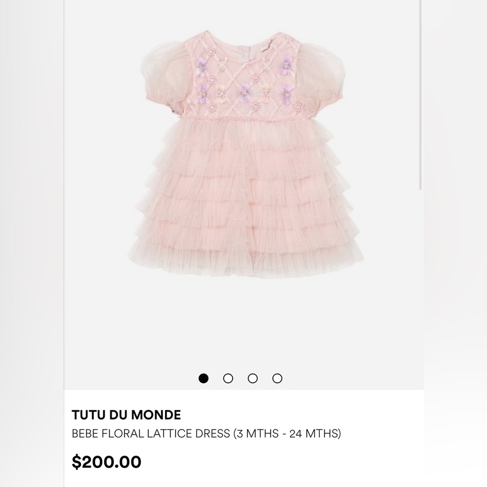 Tutu du Monde- Chic Pink Ruffled Baby Dress with Floral Embroidery